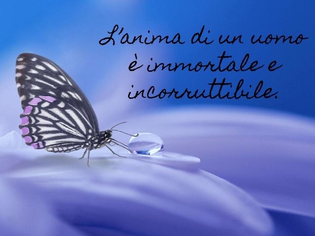 L’anima di un uomo è immortale e incorruttibile.(Platone)