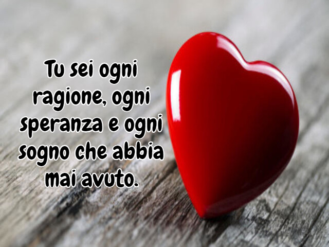 Tu sei ogni ragione, ogni speranza e ogni sogno che abbia mai avuto.