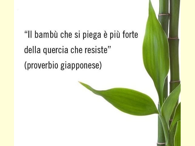 "Il bambù che si piega è più forte della quercia che resiste"(proverbio giapponese)