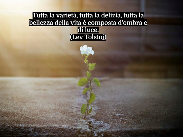 Tutta la varietà, tutta la delizia, tutta la bellezza della vita è composta d’ombra e di luce.(Lev Tolstoj)