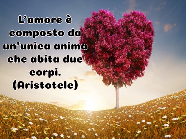 L’amore è composto da un’unica anima che abita due corpi.(Aristotele)