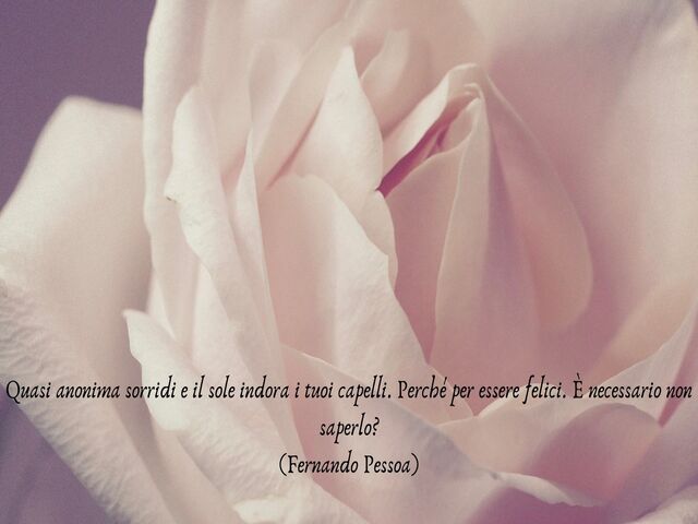 Quasi anonima sorridi e il sole indora i tuoi capelli. Perché per essere felici. È necessario non saperlo?(Fernando Pessoa)