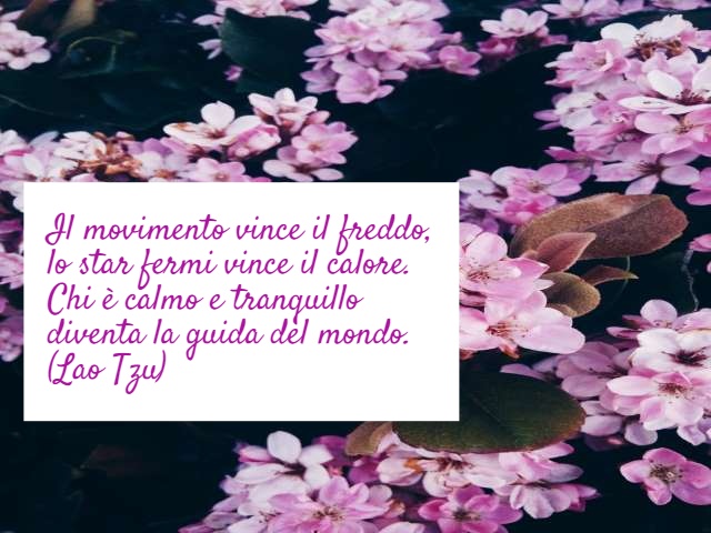 Il movimento vince il freddo, lo star fermi vince il calore. Chi è calmo e tranquillo diventa la guida del mondo. (Lao Tzu)