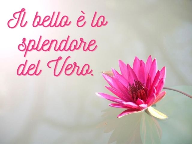 Il bello è lo splendore del vero.(Platone)