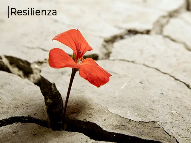 Resilienza