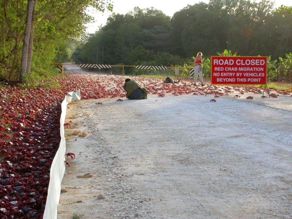 Credits: Christmas Island