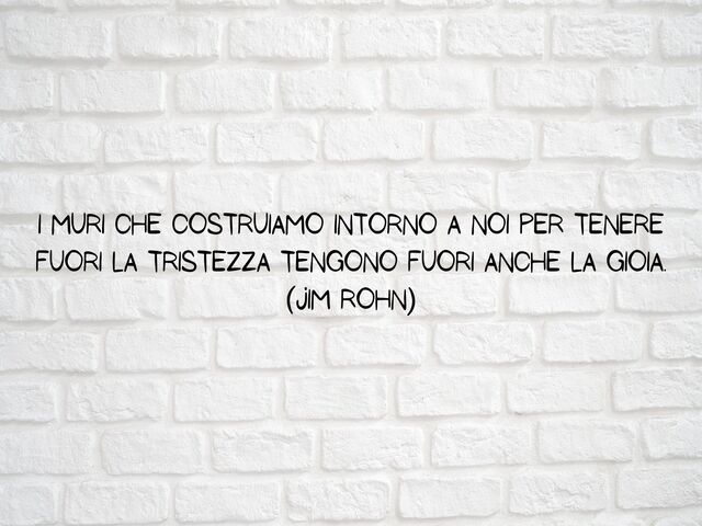 I muri che costruiamo intorno a noi per tenere fuori la tristezza tengono fuori anche la gioia.(Jim Rohn)