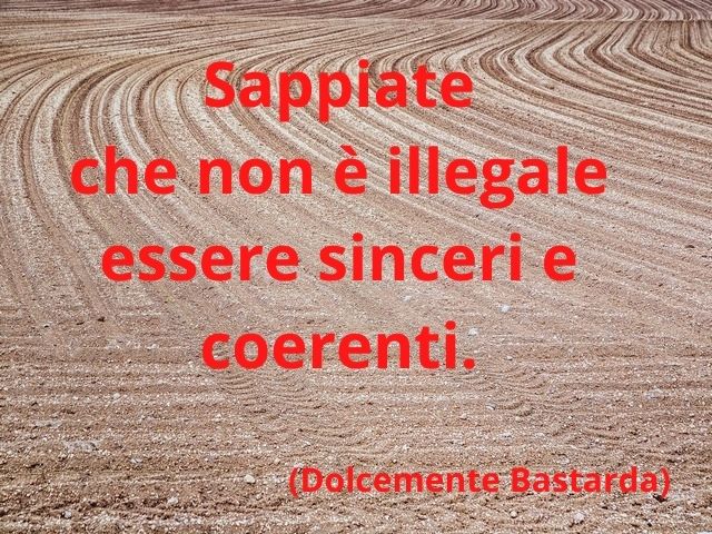 Sappiate che non è illegale essere sinceri e coerenti.(Dolcemente Bastarda)