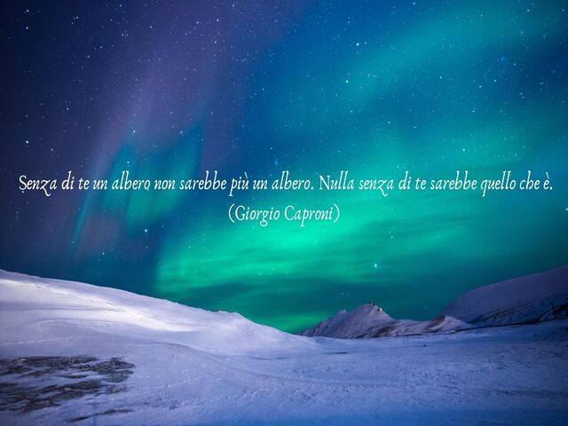 Senza di te un albero non sarebbe più un albero. Nulla senza di te sarebbe quello che è.(Giorgio Caproni)