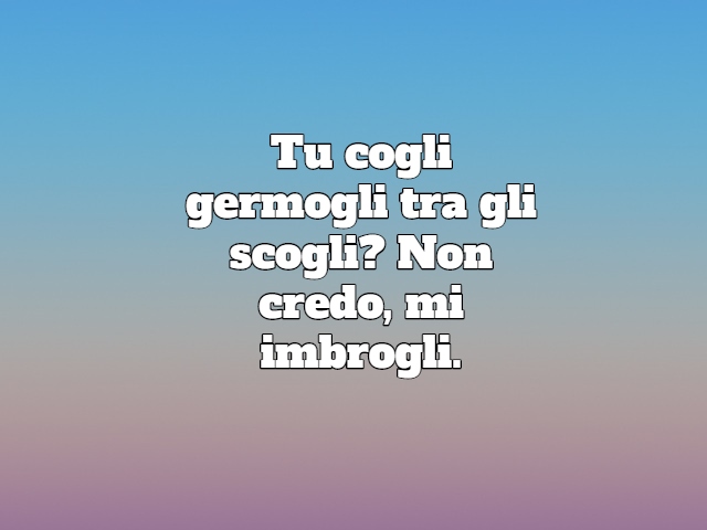 Tu cogli germogli tra gli scogli? Non credo, mi imbrogli.