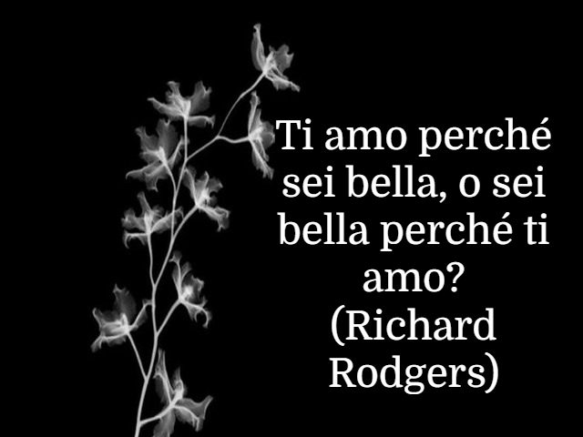 Ti amo perché sei bella, o sei bella perché ti amo?(Richard Rodgers)