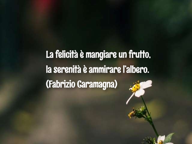 La felicità è mangiare un frutto, la serenità è ammirare l’albero. (Fabrizio Caramagna)