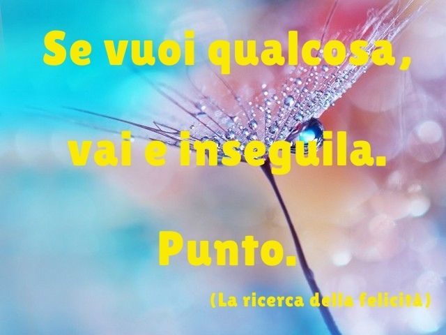 Se vuoi qualcosa, vai e inseguila. Punto.(La ricerca della felicità)