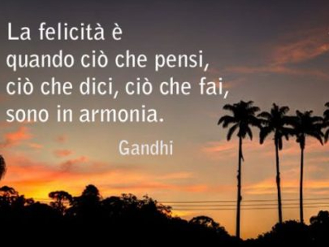 La felicità è quando ciò che pensi, ciò che dici, ciò che fai, sono in armonia.(Gandhi)