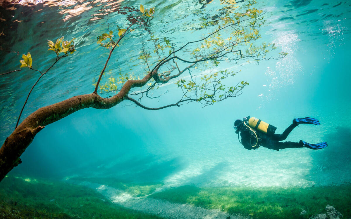 Il lago verde che scompare durante l'inverno: la magia del Gruner See - 