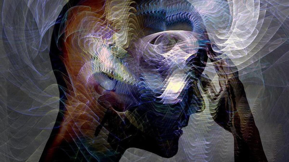 Sarpa Salpa: il pesce allucinogeno con effetti simili all'LSD - 