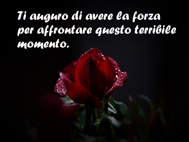 Ti auguro di avere la forza per affrontare questo terribile momento.