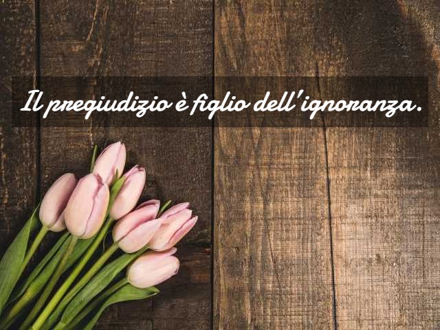 Il pregiudizio è figlio dell’ignoranza..