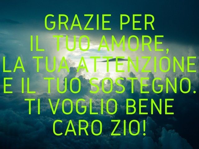 Grazie per il tuo amore, la tua attenzione e il tuo sostegno. Ti voglio bene caro zio!