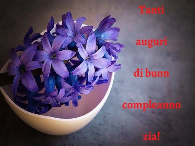 Tanti auguri di buon compleanno zia!