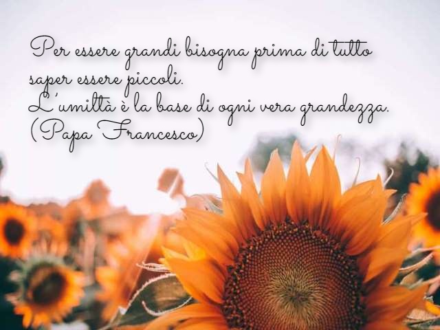 Per essere grandi bisogna prima di tutto saper essere piccoli. L’umiltà è la base di ogni vera grandezza. (Papa Francesco)