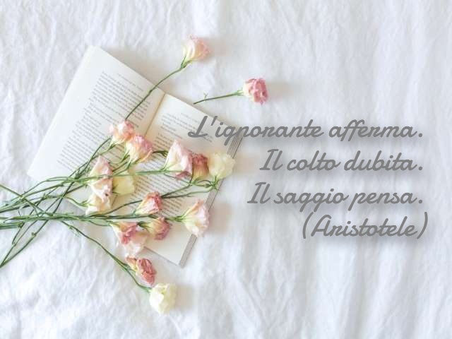 L'ignorante afferma. Il colto dubita. Il saggio pensa.(Aristotele)