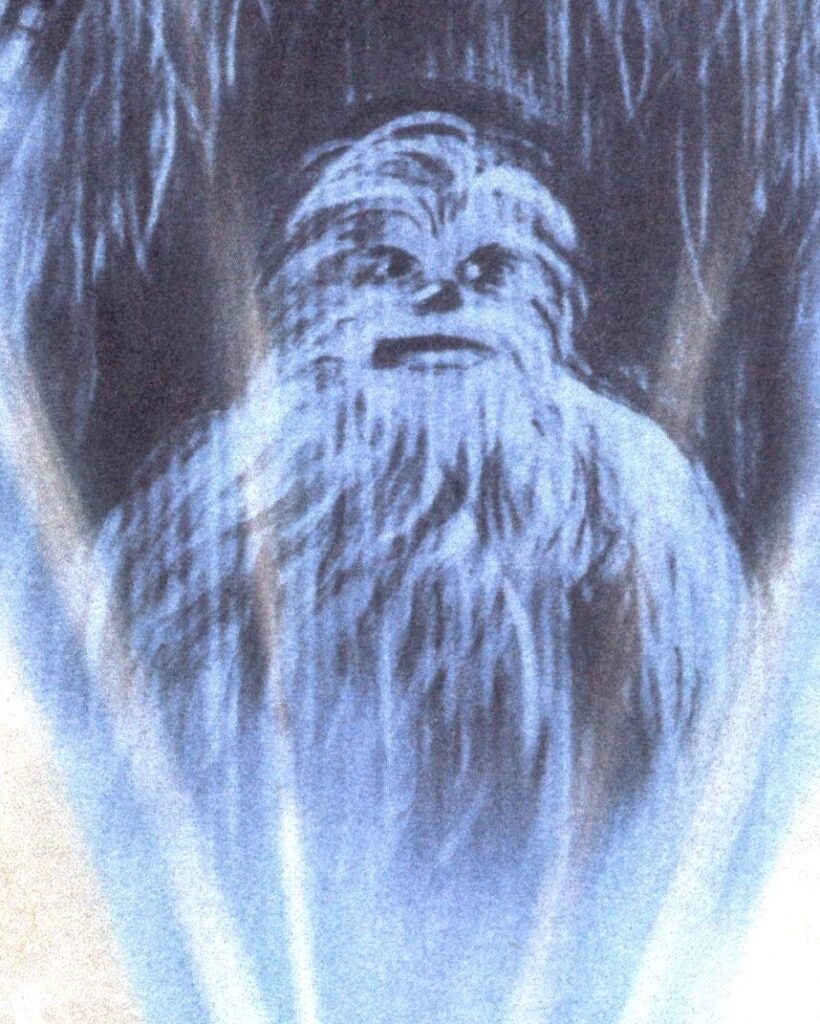 Lumpawaroo, il figlio di Chewbacca
