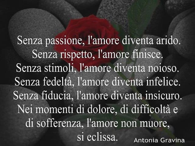 Senza passione, l'amore diventa arido. Senza rispetto, l'amore finisce. Senza stimoli, l'amore diventa noioso. Senza fedeltà, l'amore diventa infelice. Senza fiducia, l'amore diventa insicuro. Nei momenti di dolore, di difficoltà e di sofferenza, l'amore 