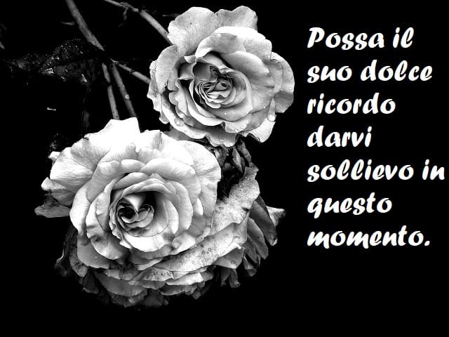 Possa il suo dolce ricordo darvi sollievo in questo momento.