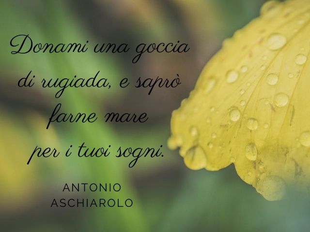 Donami una goccia di rugiada, e saprò farne mare per i tuoi sogni.(Antonio Aschiarolo)
