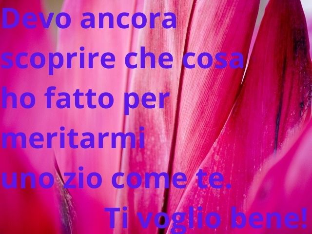 Devo ancora scoprire che cosa ho fatto per meritarmi uno zio come te. Ti voglio bene!