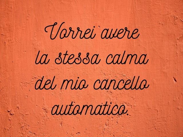 Vorrei avere la stessa calma del mio cancello automatico.