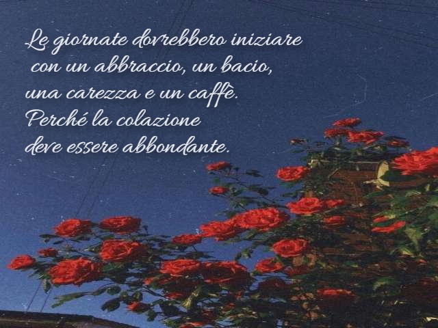 Le giornate dovrebbero iniziare con un abbraccio, un bacio, una carezza e un caffè. Perché la colazione deve essere abbondante.