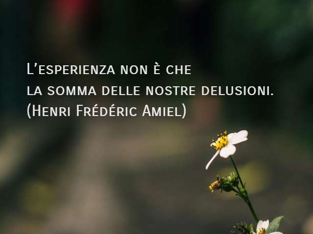 L’esperienza non è che la somma delle nostre delusioni.(Henri Frédéric Amiel)