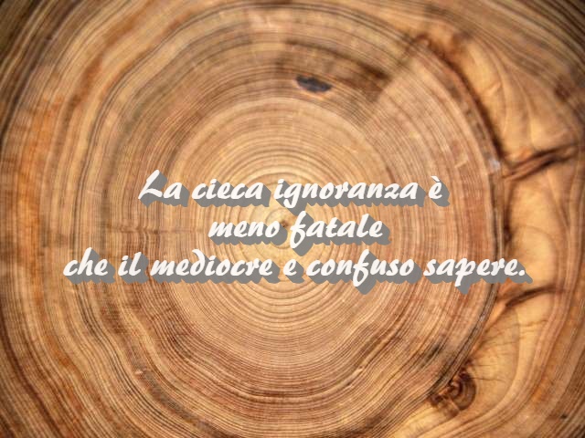 La cieca ignoranza è meno fatale che il mediocre e confuso sapere.