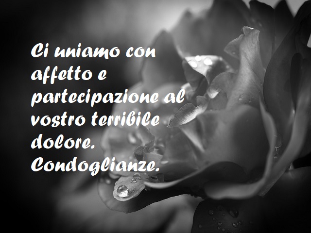 Ci uniamo con affetto e partecipazione al vostro terribile dolore. Condoglianze.