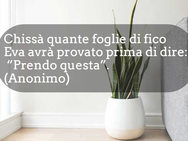 Chissà quante foglie di fico Eva avrà provato prima di dire: “Prendo questa”.(Anonimo)