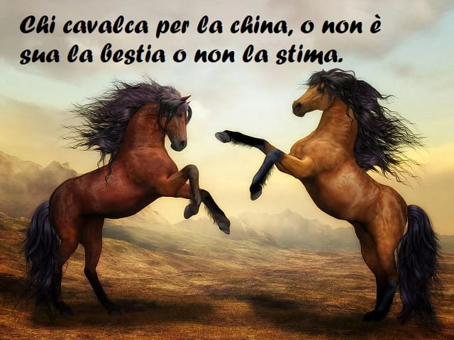 Chi cavalca per la china, o non è sua la bestia o non la stima.