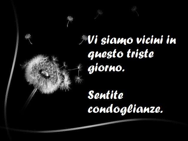 Vi siamo vicini in questo triste giorno. Sentite condoglianze.