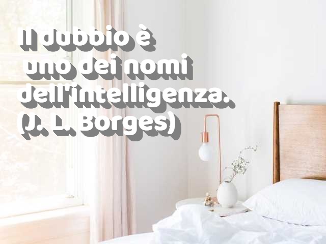 Il dubbio è uno dei nomi dell'intelligenza.(J. L. Borges)