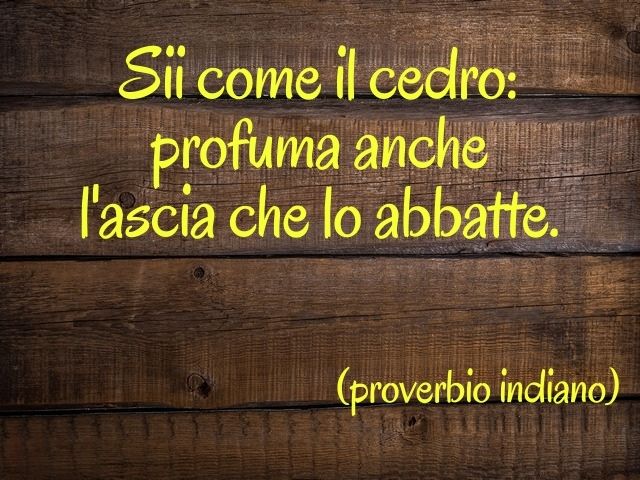 Sii come il cedro che profuma anche l'ascia che lo abbatte.(proverbio indiano)