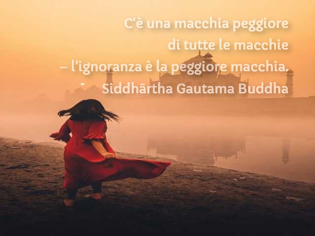 C'è una macchia peggiore di tutte le macchie; - l'ignoranza è la macchia peggiore. (Buddha)