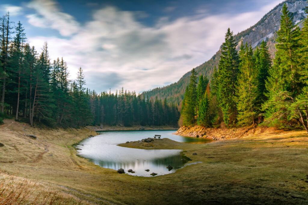 Credits: Ajgor Benk via Flickr