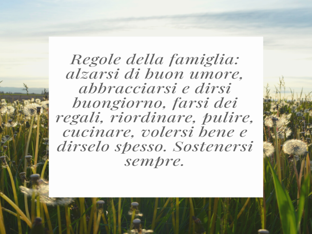 Regole della famiglia: alzarsi di buon umore, abbracciarsi e dirsi buongiorno, farsi dei regali, riordinare, pulire, cucinare, volersi bene e dirselo spesso. Sostenersi sempre.