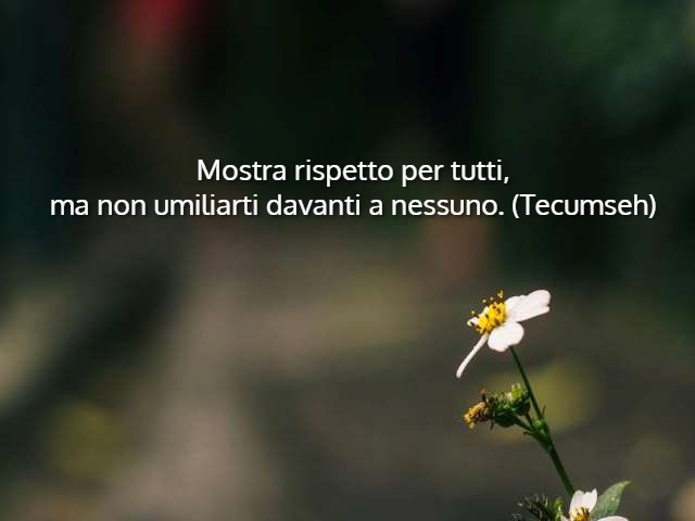 Mostra rispetto per tutti, ma non umiliarti davanti a nessuno. (Tecumseh)