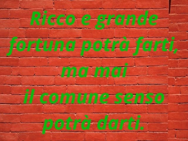 Ricco e grande fortuna potrà farti ma mai il comune senso potrà darti.
