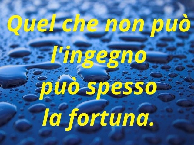 Quel che non può l'ingegno può spesso la fortuna.