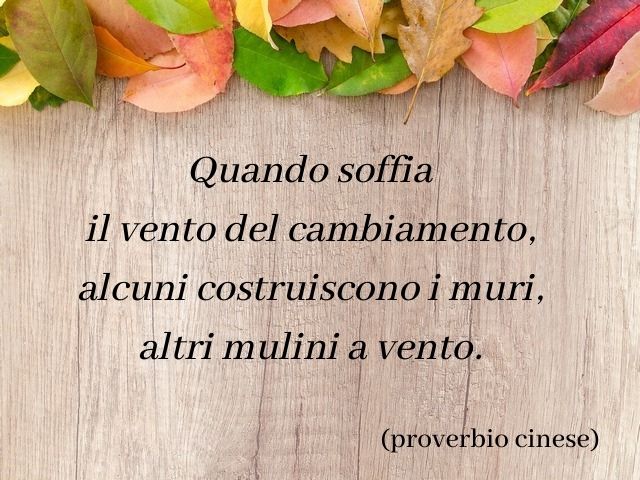 Quando soffia il vento del cambiamento, alcuni costruiscono i muri altri mulini a vento.(proverbio cinese)