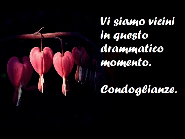 Vi siamo vicini in questo drammatico momento. Condoglianze.