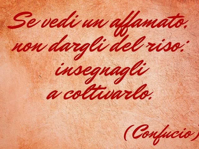 Se vedi un affamato, non dargli del riso: insegnagli a coltivarlo.(Confucio)